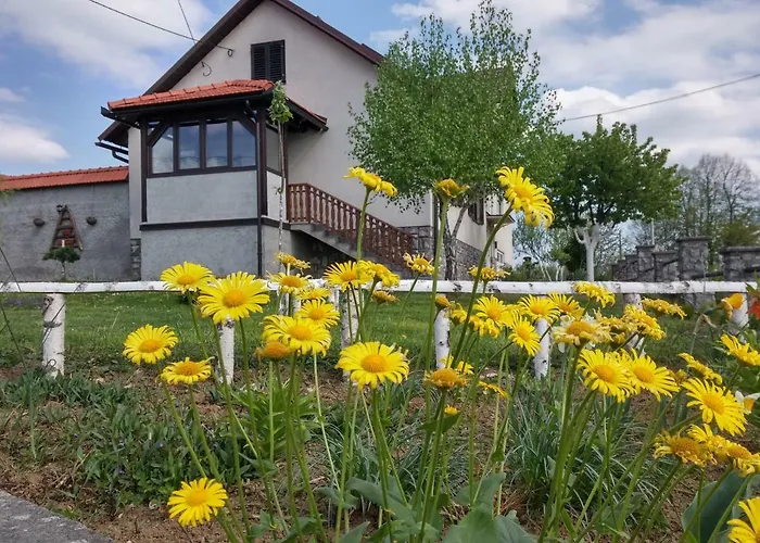Apartment Rasce
