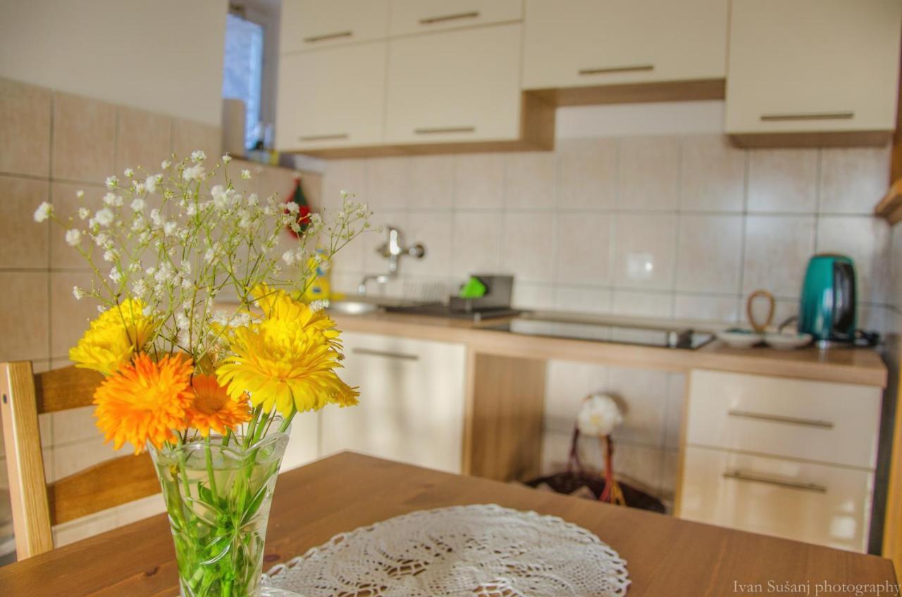 Appartement Rasce